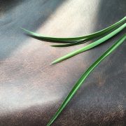 Vintage upholstery leather